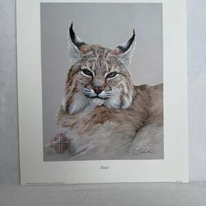 Peter Skirka 'Bobcat' Pencil Signed Print